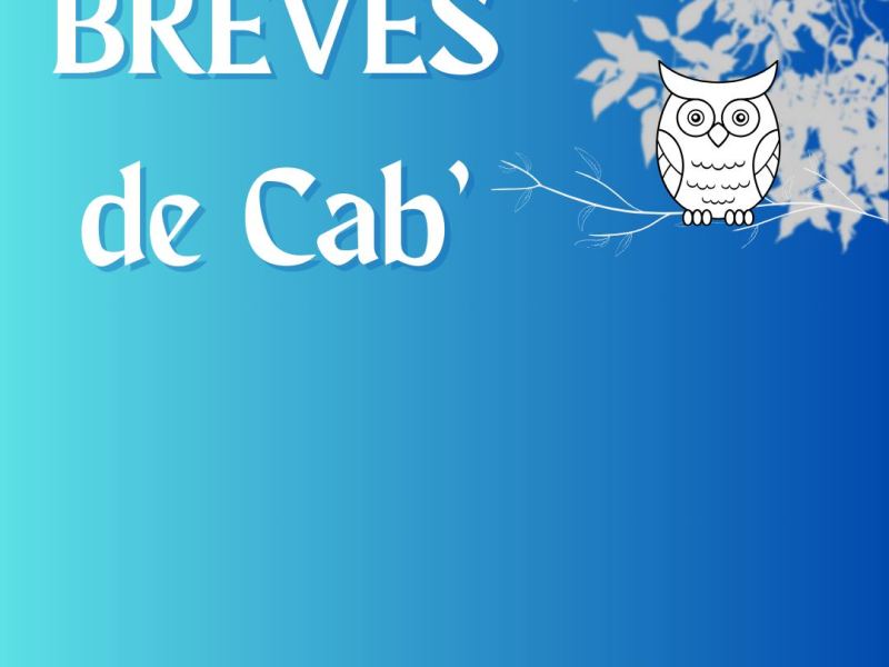 🦉 𝑩𝒓è𝒗𝒆𝒔 𝒅𝒆 𝑪𝒂𝒃’